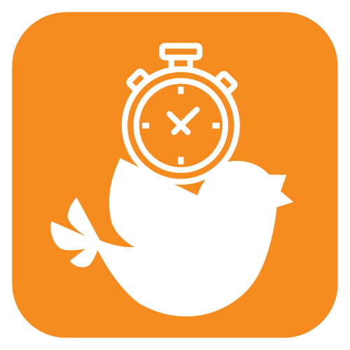 Early-Bird Icon